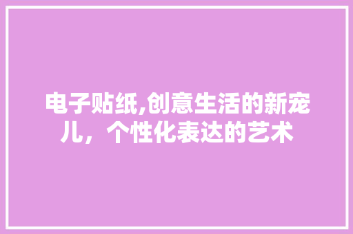 电子贴纸,创意生活的新宠儿，个性化表达的艺术