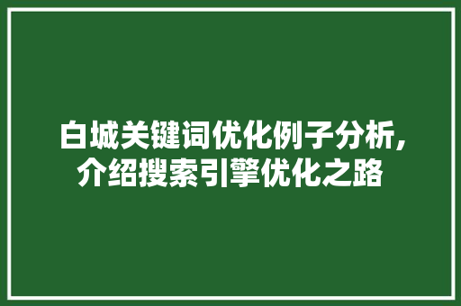 白城关键词优化例子分析,介绍搜索引擎优化之路