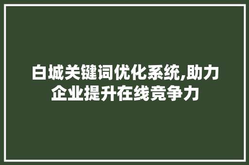 白城关键词优化系统,助力企业提升在线竞争力