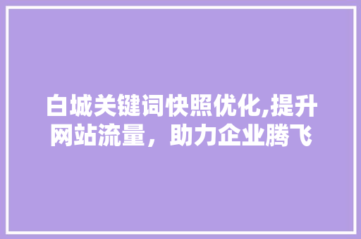 白城关键词快照优化,提升网站流量，助力企业腾飞