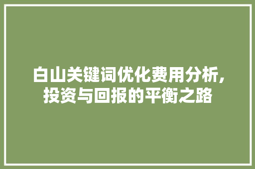 白山关键词优化费用分析,投资与回报的平衡之路