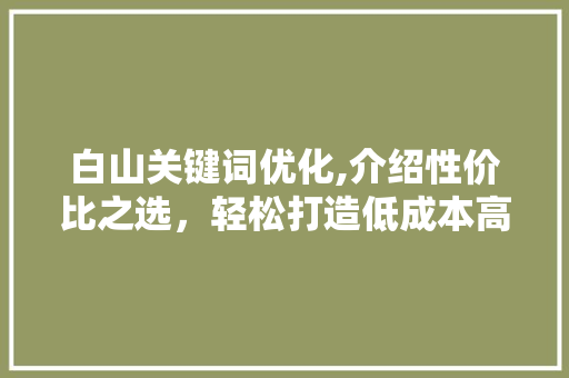 白山关键词优化,介绍性价比之选，轻松打造低成本高收益的SEO步骤