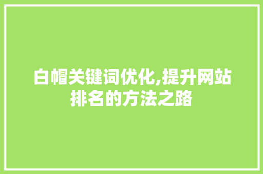白帽关键词优化,提升网站排名的方法之路