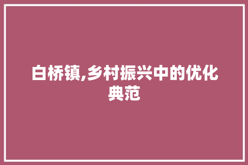 白桥镇,乡村振兴中的优化典范