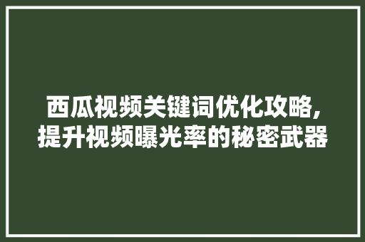 西瓜视频关键词优化攻略,提升视频曝光率的秘密武器