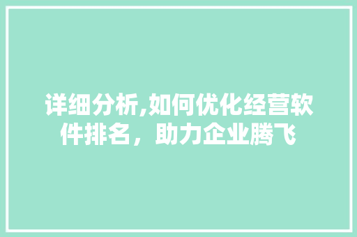 详细分析,如何优化经营软件排名，助力企业腾飞