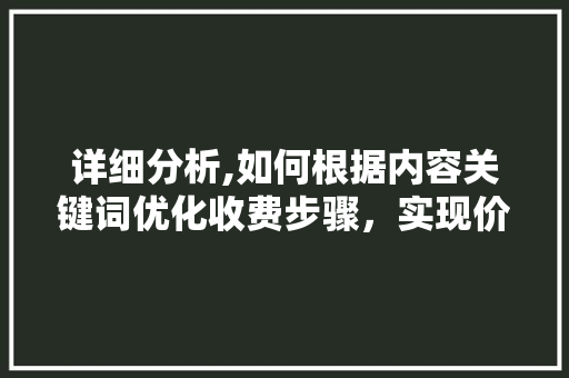 详细分析,如何根据内容关键词优化收费步骤，实现价值最大化
