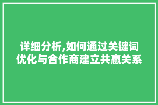 详细分析,如何通过关键词优化与合作商建立共赢关系