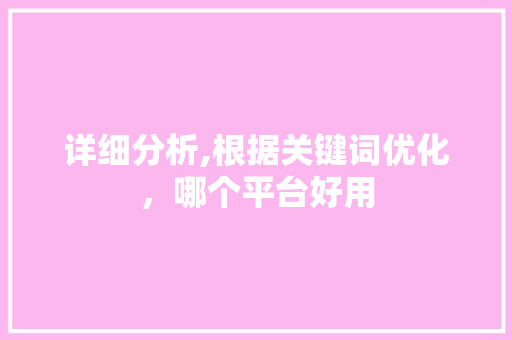 详细分析,根据关键词优化，哪个平台好用