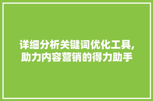 详细分析关键词优化工具,助力内容营销的得力助手