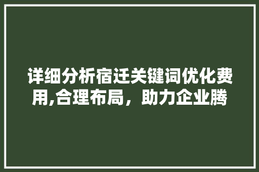 详细分析宿迁关键词优化费用,合理布局，助力企业腾飞