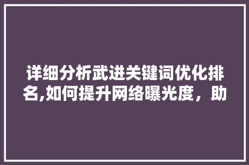 详细分析武进关键词优化排名,如何提升网络曝光度，助力企业发展