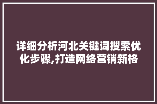 详细分析河北关键词搜索优化步骤,打造网络营销新格局