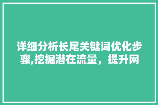 详细分析长尾关键词优化步骤,挖掘潜在流量，提升网站SEO效果 后端技术