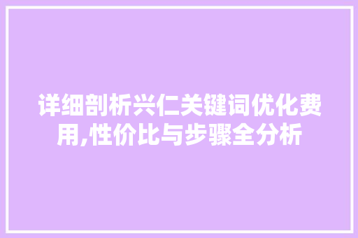 详细剖析兴仁关键词优化费用,性价比与步骤全分析