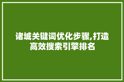 诸城关键词优化步骤,打造高效搜索引擎排名
