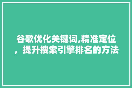 谷歌优化关键词,精准定位，提升搜索引擎排名的方法 项目报告