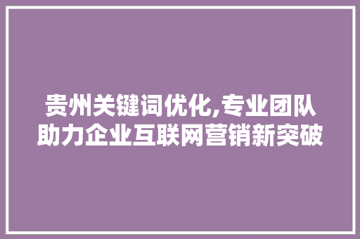 贵州关键词优化,专业团队助力企业互联网营销新突破