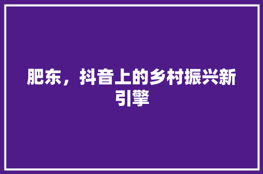 肥东，抖音上的乡村振兴新引擎
