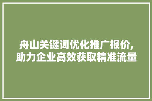 舟山关键词优化推广报价,助力企业高效获取精准流量
