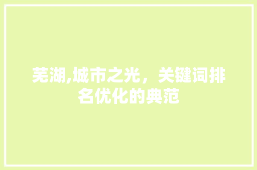 芜湖,城市之光，关键词排名优化的典范