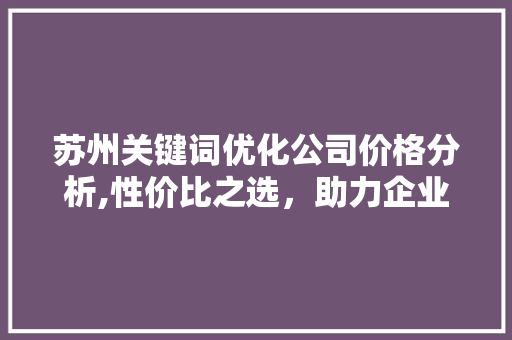 苏州关键词优化公司价格分析,性价比之选，助力企业高效推广
