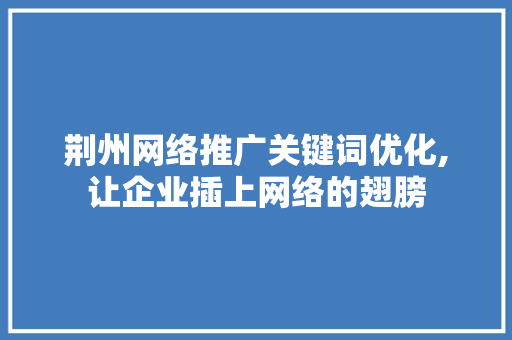 荆州网络推广关键词优化,让企业插上网络的翅膀