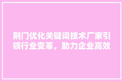 荆门优化关键词技术厂家引领行业变革，助力企业高效营销