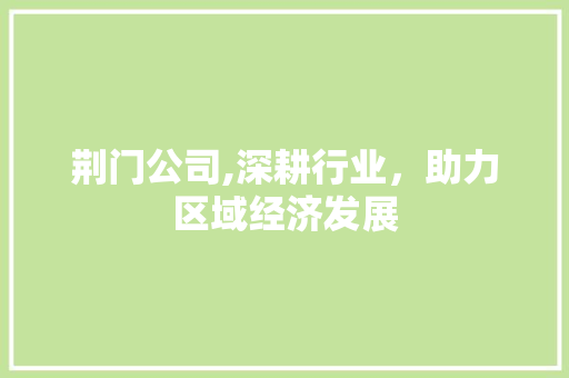 荆门公司,深耕行业，助力区域经济发展