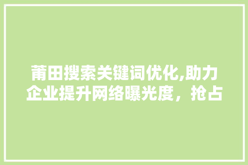 莆田搜索关键词优化,助力企业提升网络曝光度，抢占市场先机