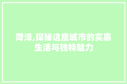 菏泽,探秘这座城市的实惠生活与独特魅力