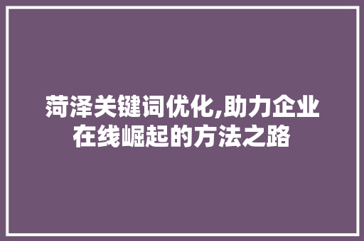 菏泽关键词优化,助力企业在线崛起的方法之路