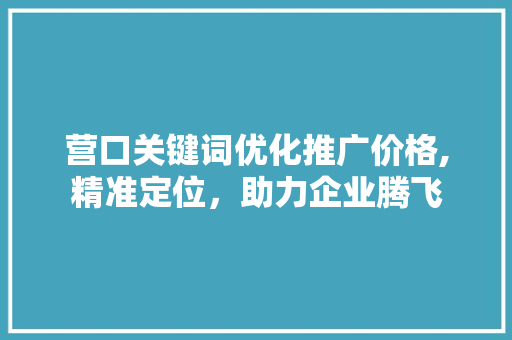 营口关键词优化推广价格,精准定位，助力企业腾飞