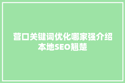 营口关键词优化哪家强介绍本地SEO翘楚