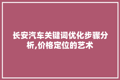长安汽车关键词优化步骤分析,价格定位的艺术