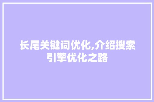 长尾关键词优化,介绍搜索引擎优化之路