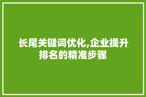 长尾关键词优化,企业提升排名的精准步骤