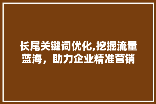 长尾关键词优化,挖掘流量蓝海，助力企业精准营销