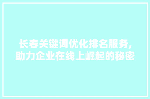 长春关键词优化排名服务,助力企业在线上崛起的秘密武器