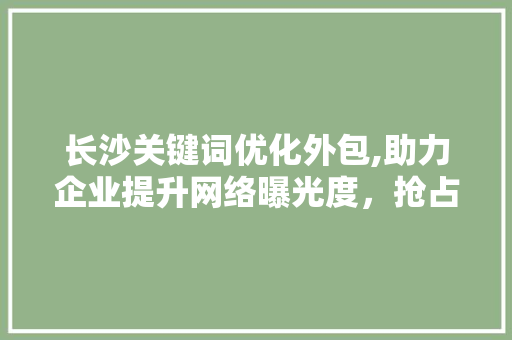 长沙关键词优化外包,助力企业提升网络曝光度，抢占市场先机