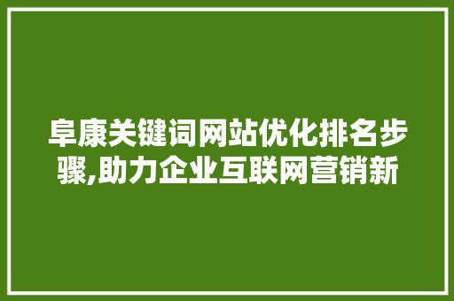 阜康关键词网站优化排名步骤,助力企业互联网营销新篇章