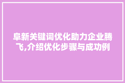 阜新关键词优化助力企业腾飞,介绍优化步骤与成功例子