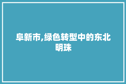 阜新市,绿色转型中的东北明珠