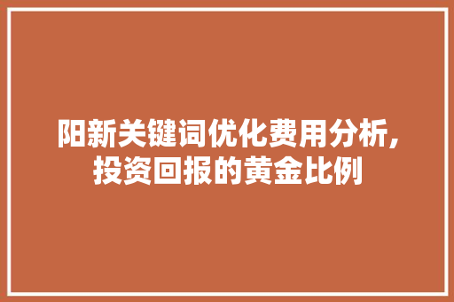 阳新关键词优化费用分析,投资回报的黄金比例