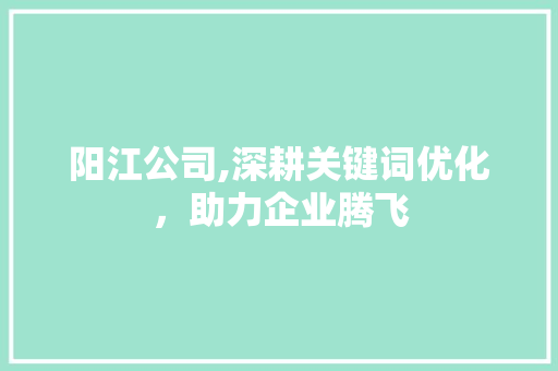 阳江公司,深耕关键词优化，助力企业腾飞