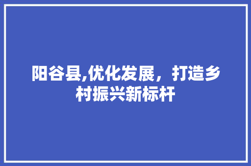 阳谷县,优化发展，打造乡村振兴新标杆