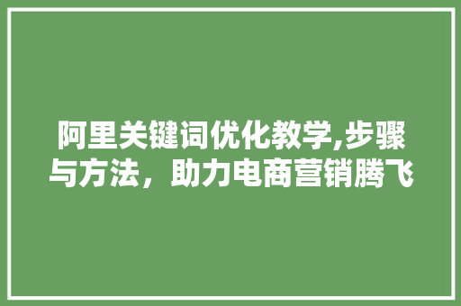 阿里关键词优化教学,步骤与方法，助力电商营销腾飞