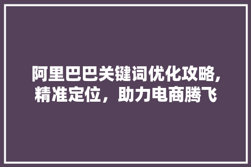 阿里巴巴关键词优化攻略,精准定位，助力电商腾飞