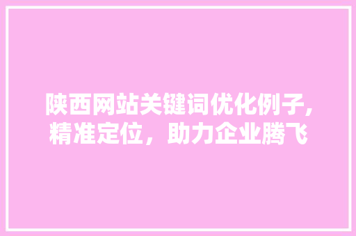 陕西网站关键词优化例子,精准定位，助力企业腾飞
