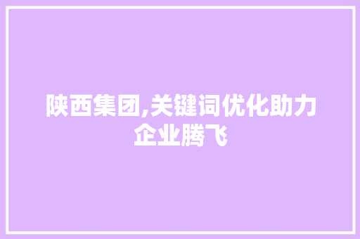陕西集团,关键词优化助力企业腾飞